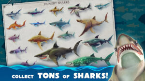 Descargar Hungry Shark World MOD APK 5.4.0 (Monedas infinitas) 1